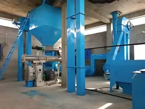 Pellet mill and elevators of the 10 t/h poultry feed plant for Arif Gondal Feed, Gujranwala